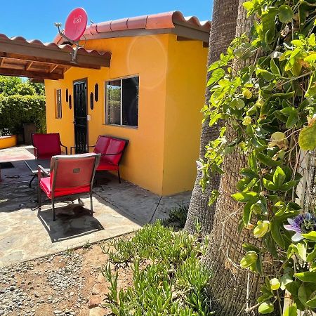 Хостел Rancho El Campanario En La Ruta Del Vino Валье-де-Гуадалупе Экстерьер фото