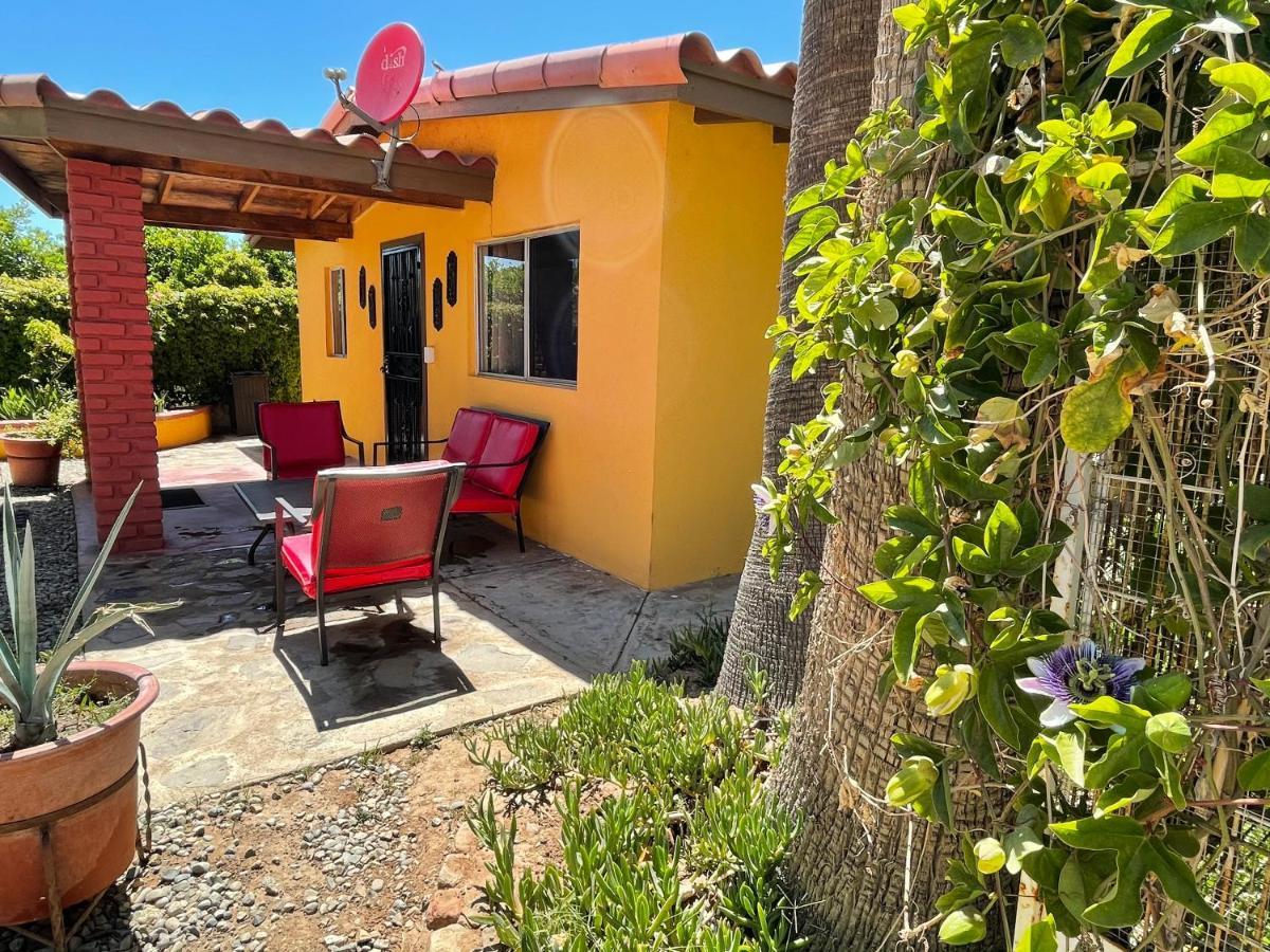 Хостел Rancho El Campanario En La Ruta Del Vino Валье-де-Гуадалупе Экстерьер фото