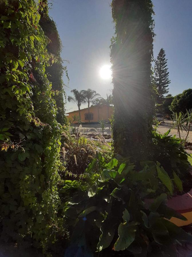 Хостел Rancho El Campanario En La Ruta Del Vino Валье-де-Гуадалупе Экстерьер фото