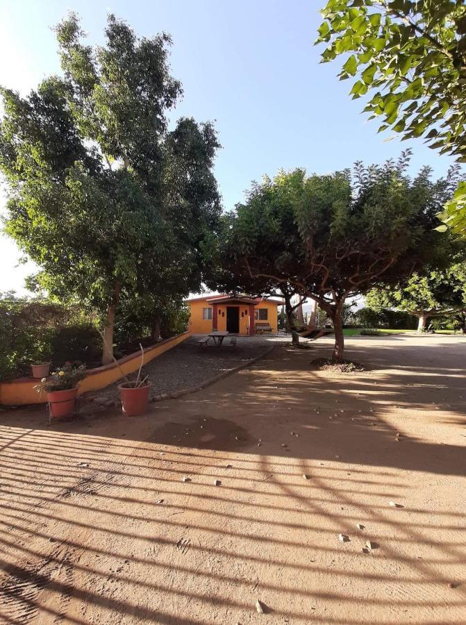 Хостел Rancho El Campanario En La Ruta Del Vino Валье-де-Гуадалупе Экстерьер фото
